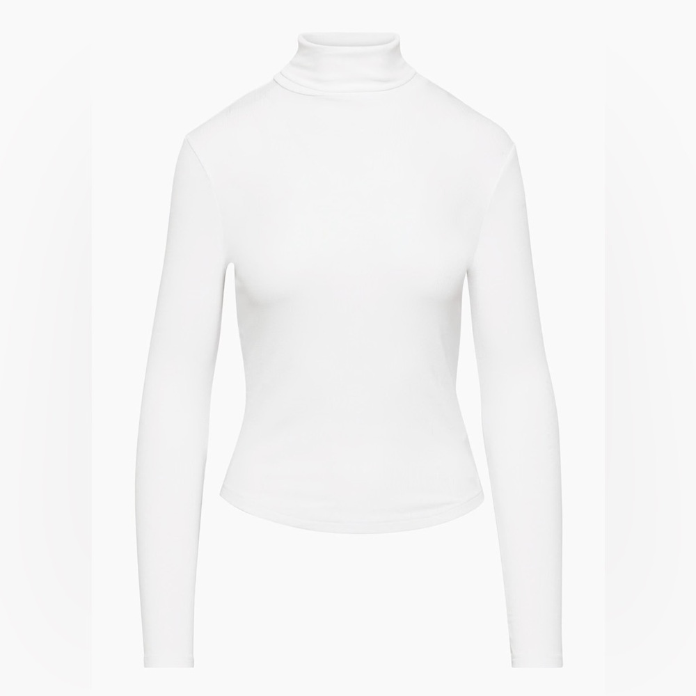 Aritzia Freshman Turtleneck